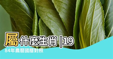 1984年農曆生肖|1984年中國農曆,黃道吉日,嫁娶擇日,農民曆,節氣,節日